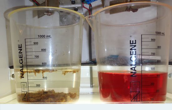 Two beakers with liquid, one clear with sediment, the other red.